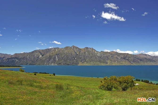 新西蘭商標(biāo)注冊(cè)