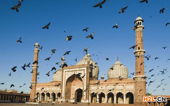 怎樣申請(qǐng)印度商標(biāo)？