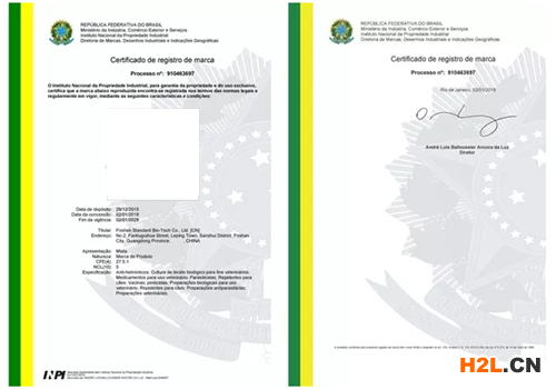申請巴西商標注冊需要多長時間？