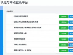 《高新技術(shù)企業(yè)年度發(fā)展情況報表》填報實務(wù)及常見問題