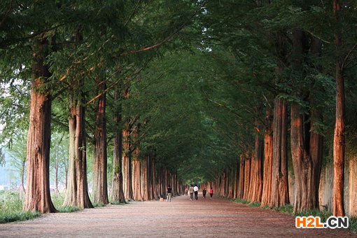 韓國(guó)商標(biāo)