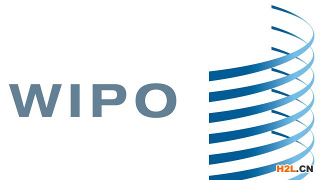 馬德里商標(biāo)國(guó)際注冊(cè)申請(qǐng)常常出現(xiàn)的誤區(qū)有哪些？