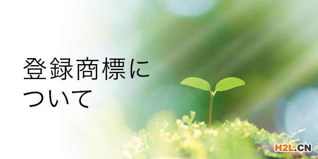 注冊日本商標非常的重要！