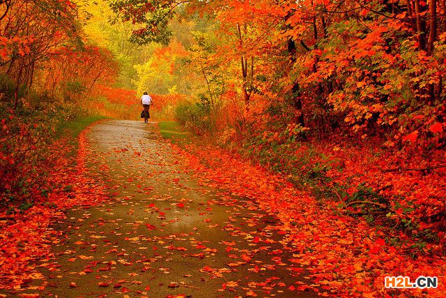 加拿大發(fā)明專利申請