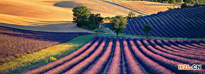 法國外觀設(shè)計專利