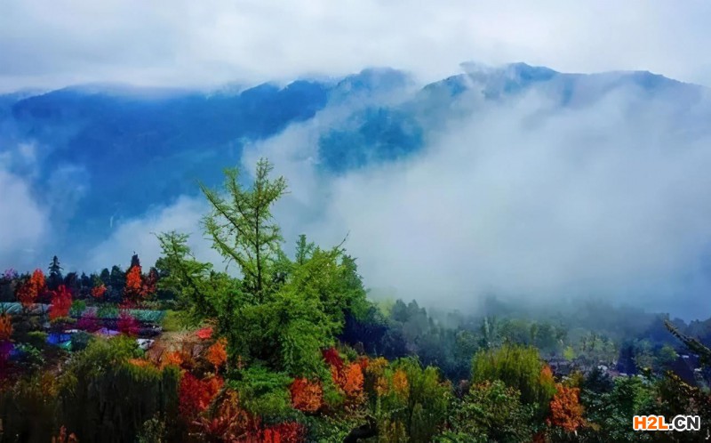 2020全國(guó)多地出臺(tái)知識(shí)產(chǎn)權(quán)最新政策,加大獎(jiǎng)勵(lì)力度！