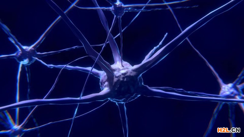 神經(jīng)網(wǎng)絡模型專利權利要求應該如何布局? 