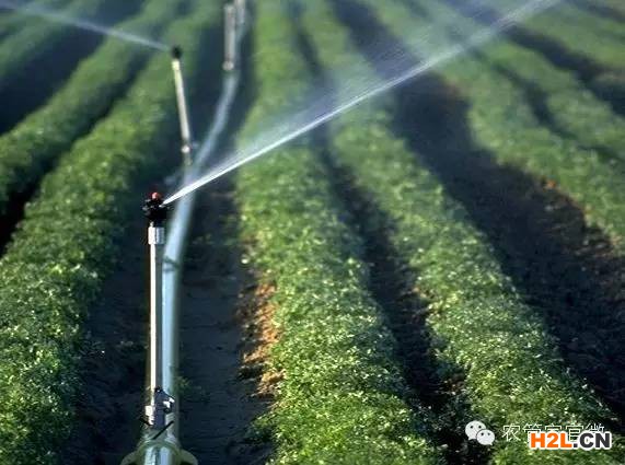 中國有機農產品認證(有機認證)流程