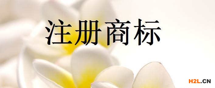 商標(biāo)注冊公司