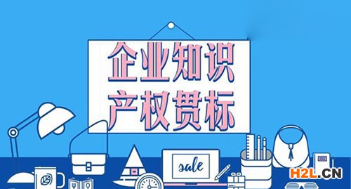 2020年深圳大鵬新區(qū)知識產權貫標資助申報指南