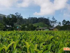 為什么說GAP認證關注細節(jié)？它是如何審核評級的？