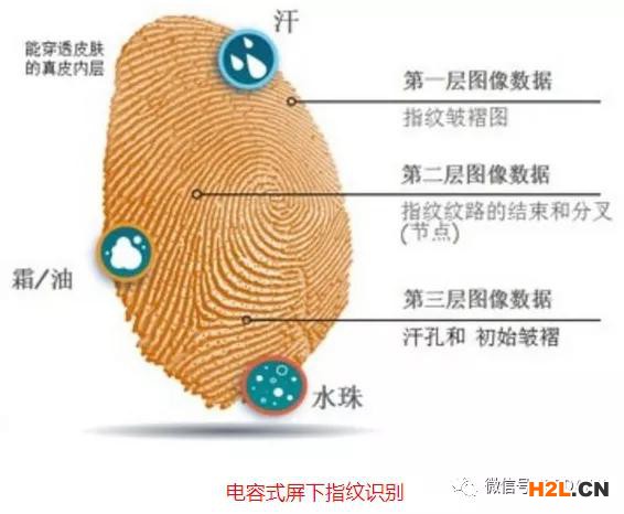 細(xì)分領(lǐng)域的專利代理-淺談光電顯示指紋識(shí)別技術(shù)