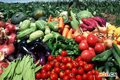 三年增長(zhǎng)300% 認(rèn)證工作助力河北食品農(nóng)產(chǎn)品產(chǎn)業(yè)高質(zhì)量發(fā)展