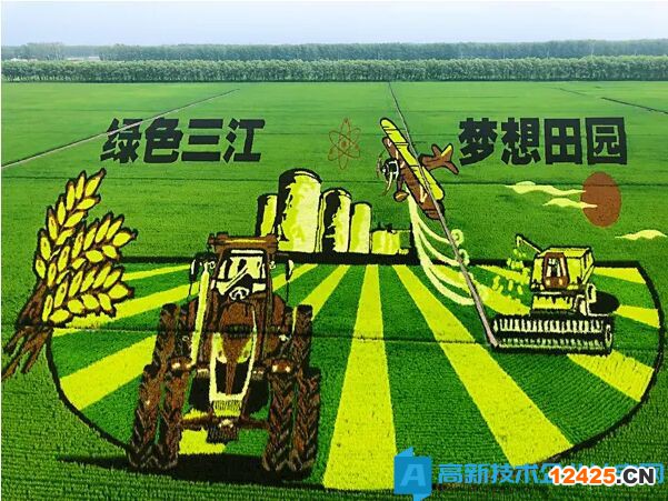 大慶市農(nóng)業(yè)企業(yè)可以申報(bào)高新技術(shù)企業(yè)么？需要什么條件？有哪些政策扶持？