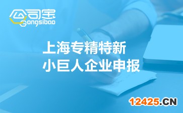 上海專精特新小巨人企業(yè)申報(bào)