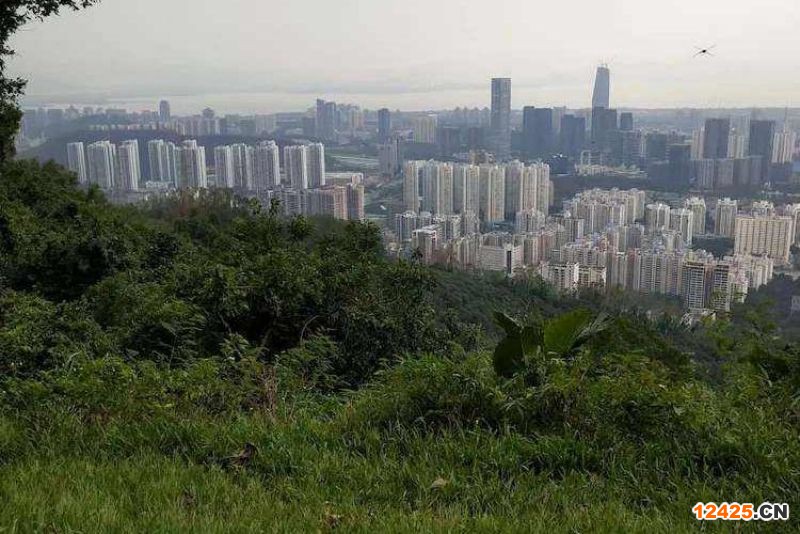 2022年深圳小巨人企業(yè)申報(bào)