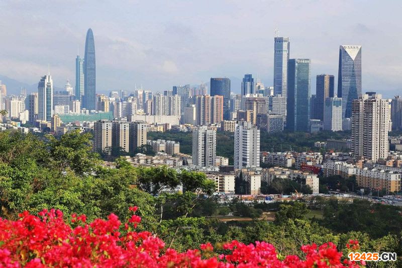 2022年深圳小巨人企業(yè)是什么概念