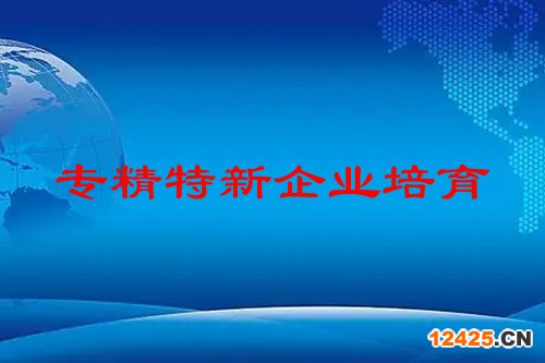 專精特新企業(yè)培育