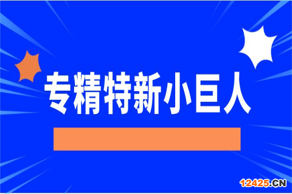 第四批專精特新“小巨人”企業(yè)培育和第一批專精特新“小巨人”企業(yè)復(fù)核的通知