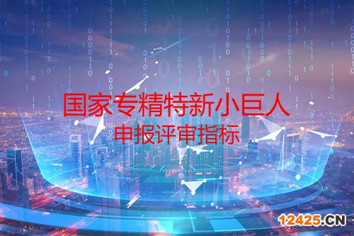 國家專精特新小巨人申報評審指標