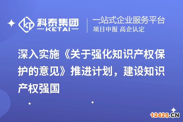深入實(shí)施《關(guān)于強(qiáng)化知識(shí)產(chǎn)權(quán)保護(hù)的意見》推進(jìn)計(jì)劃，建設(shè)知識(shí)產(chǎn)權(quán)強(qiáng)國(guó)
