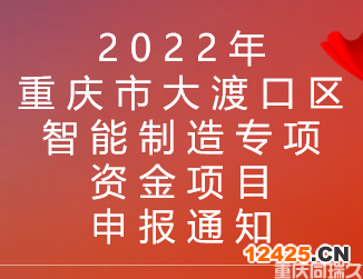 2022年重慶市大渡口區(qū)智能制造專項(xiàng)資金項(xiàng)目申報(bào)通知(圖1)