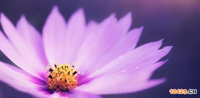企業(yè)申請(qǐng)ISO認(rèn)證證書需要咨詢機(jī)構(gòu)嗎