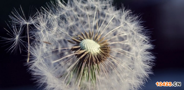 iso認(rèn)證分為幾大類