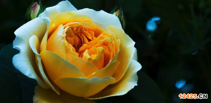 需要申請(qǐng)的是iso8317認(rèn)證，iso8317認(rèn)證是什么