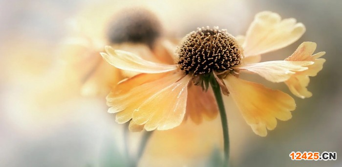 ISO19003什么認證