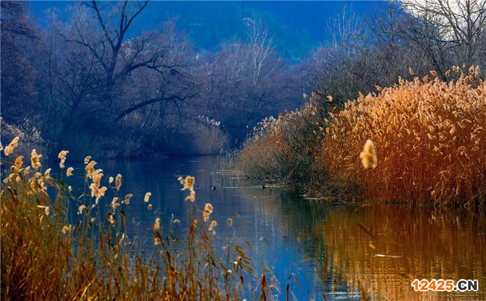 企業(yè)申請ISO45001體系需要準備什么資料