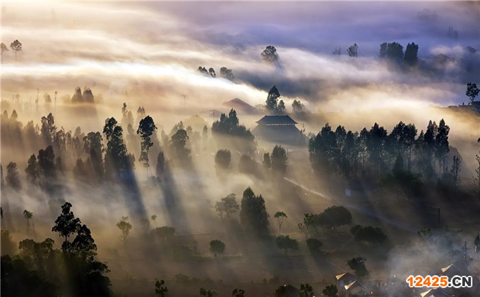 企業(yè)辦理ISO9001認(rèn)證有什么要求