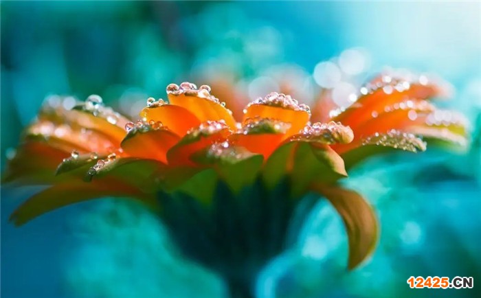 iso認(rèn)證是什么意思