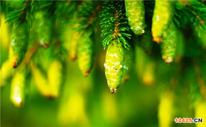 ISO環(huán)境管理體系認證證書怎么辦理