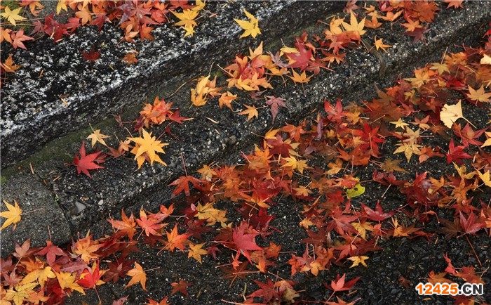 ISO三大體系認(rèn)證都有什么認(rèn)證