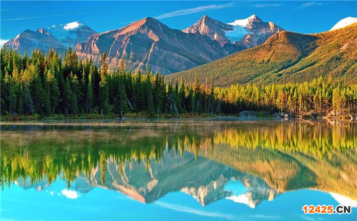 iso認(rèn)證屬于什么認(rèn)證