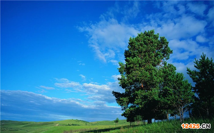 iso認(rèn)證體系有哪些