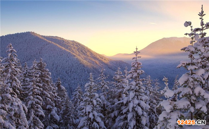 ISO14000跟ISO14001有什么區(qū)別嗎