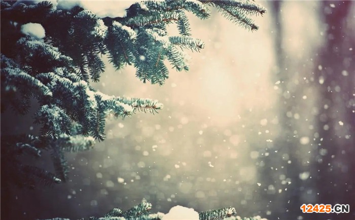 什么是五星售后服務(wù)認證的認證標準