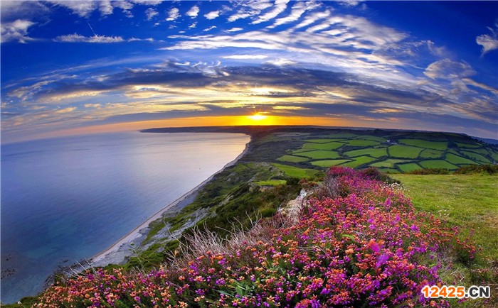 食品iso認證有什么作用