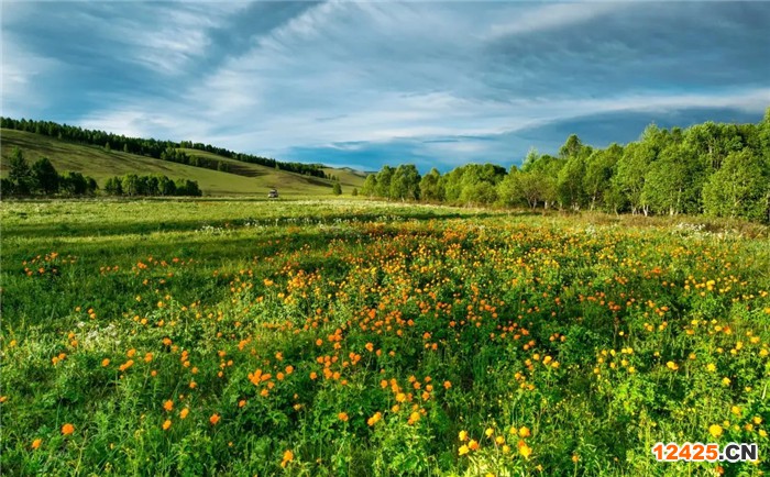 iso國際質(zhì)量體系認(rèn)證是什么意思
