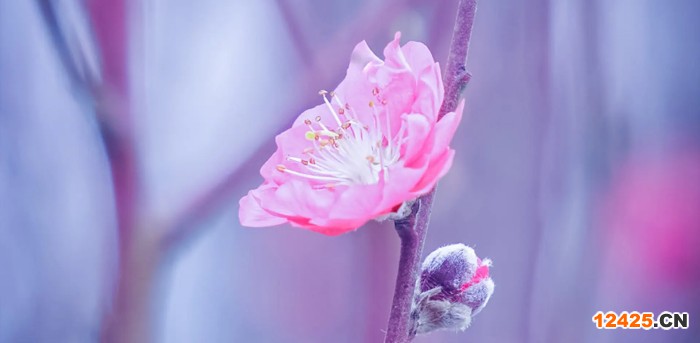 ISO2000是什么認證