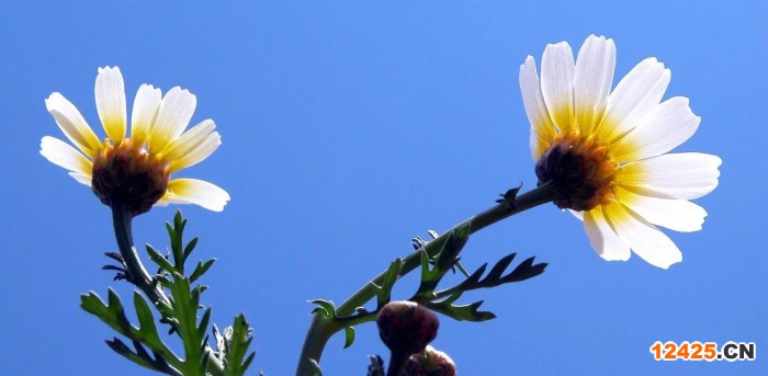 iso2000質(zhì)量體系認證是什么意思