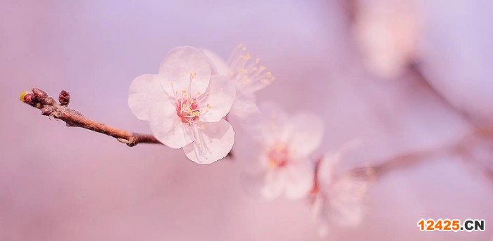 iso質(zhì)量體系認(rèn)證怎么做