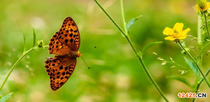 國內(nèi)iso認證有什么用