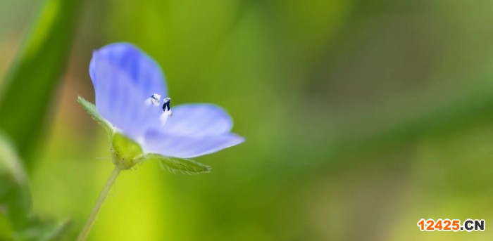 iso18001是什么體系認證