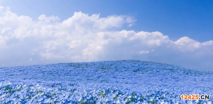 哪些公司需要做環(huán)境管理體系認證