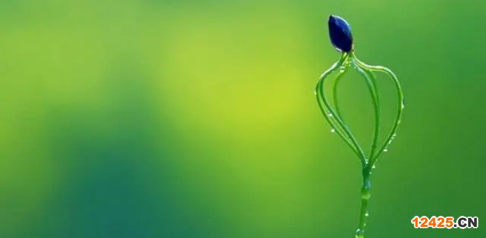 申請ISO三體系認證的好處是什么