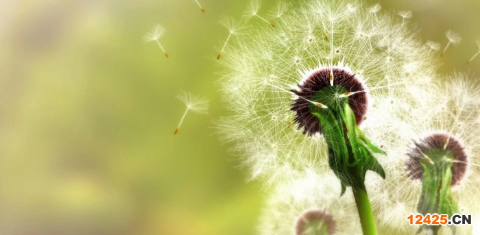 9001認證和14001認證的范圍是什么