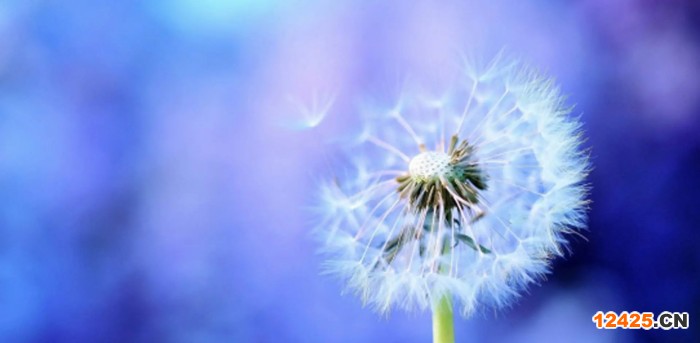 iso認證代表什么